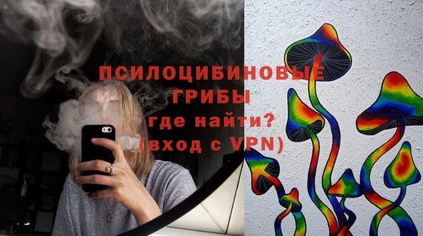 амф Вязьма