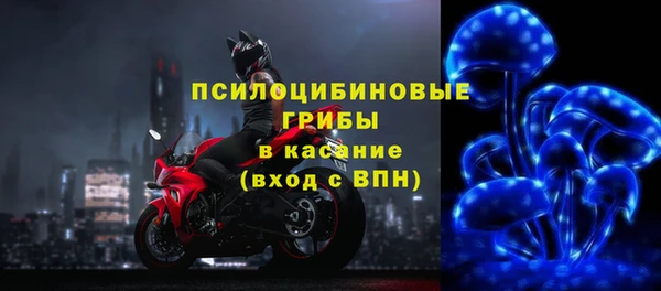 ешки Горняк
