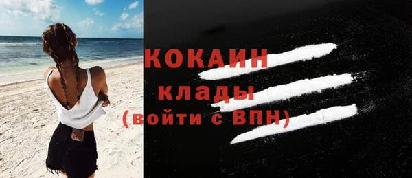 ешки Горняк