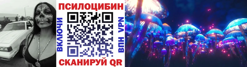 цена   Малаховка  Псилоцибиновые грибы Psilocybe 